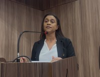 Projeto de lei que cria penalidades para descarte irregular de lixos é aprovado