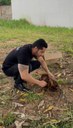Projeto de Wender Madureira que adere a proteção de animais domésticos é aprovado