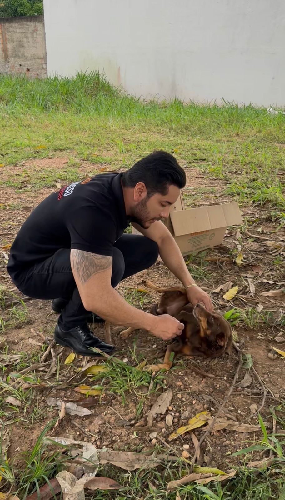 Projeto de Wender Madureira que adere a proteção de animais domésticos é aprovado