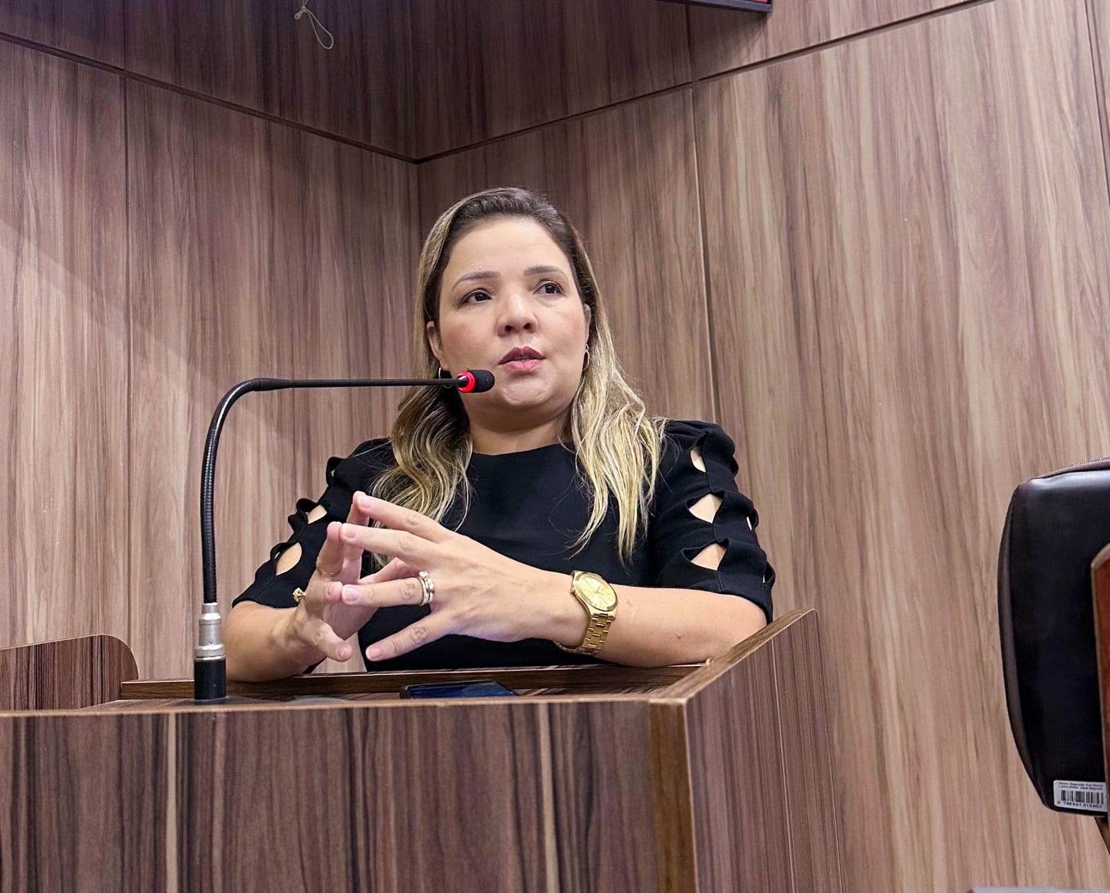 Vereadora Gisa Barros realiza audiência pública sobre combate à violência contra a mulher