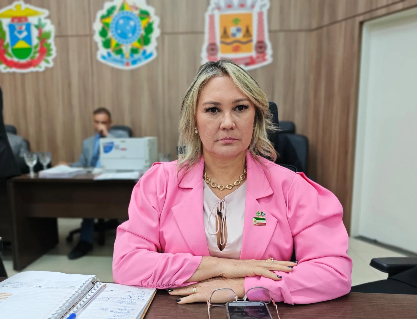 Vereadora Rosy Prado cobra do executivo informações sobre obra paralisada do Mercado Municipal